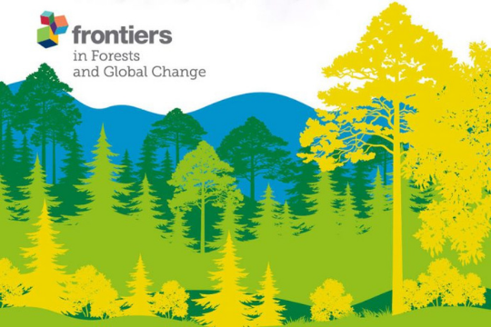 Special Issue "Global Change in Forests and Their Communities: Analyzing Spatio-Temporal Changes in Forest Complex Socio-Ecological Systems"