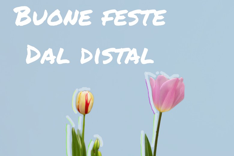 Buone feste dal DISTAL