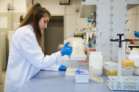 Collaborazione con enti e aziende