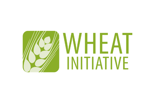 4th Virtual Durum Meeting “Contribution of Tetraploid Wheat Genetic Resources to Enhance Wheat Sustainability”