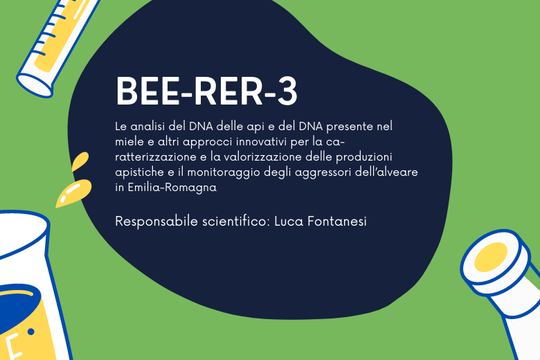 BEE-RER-3