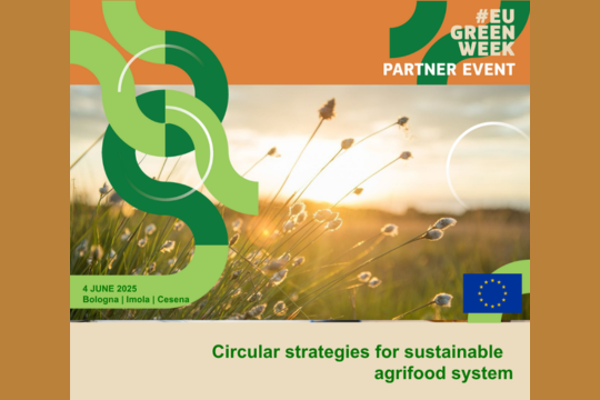 Circular strategies for sustainable agri-food systems - EU Green Week Partner event Giornata Green del Dottorato Circular strategies for sustainable agri-food systems - EU Green Week Partner event Giornata Green del Dottorato
