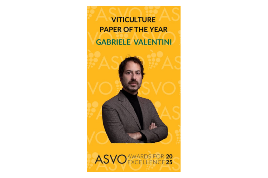 Eccellenza italiana nella ricerca viticola: a Gabriele Valentini il “Viticulture Paper of the Year Award 2025”