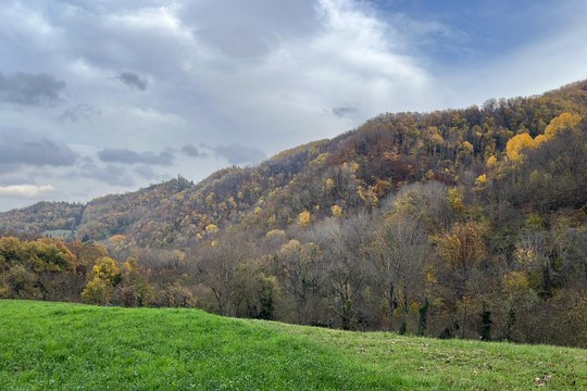 Fino al 4 dicembre 2025 sono aperte le iscrizioni al Master in Produzioni biologiche e agroecologia