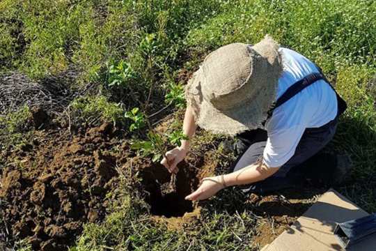 Green care contro lo stress, orticoltura terapeutica con la cooperativa Eta Beta per il progetto GreenME