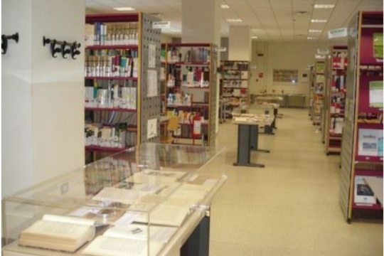 I cataloghi on-line (OPAC e ACNP) e Almastart: aspetti tecnici e strategie di ricerca