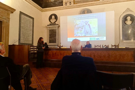 Il giardino zoologico tra immaginario, scienza e tutela della biodiversità