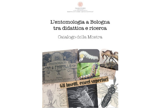 L'entomologia a Bologna tra didattica e ricerca