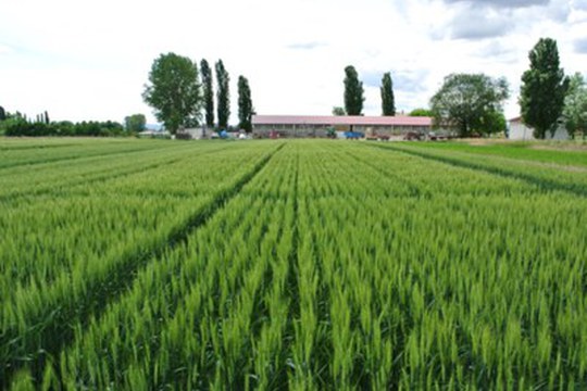 L’Azienda Agraria dell’Università di Bologna festeggia i suoi primi cinquant’anni