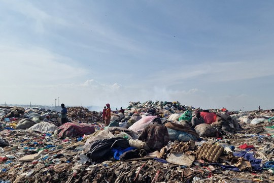 La discarica e la mosca soldato