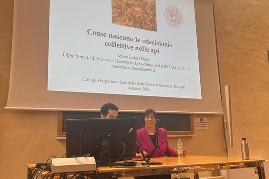 Lectio della Professoressa Maria Luisa Dindo presso il Collegio Superiore dell’Università di Bologna