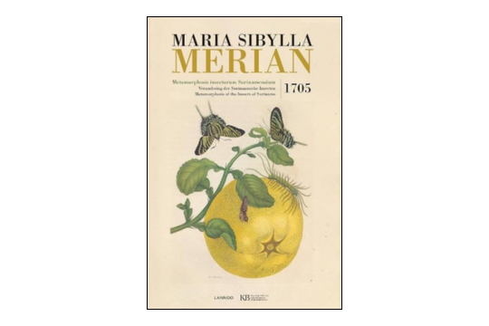 Maria Sibylla Merian: tra scienza e arte, una pioniera dell'entomologia Maria Sibylla Merian: tra scienza e arte, una pioniera dell'entomologia