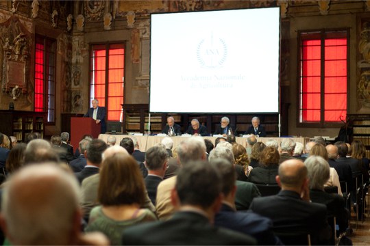Premio Nazionale Giuseppe Loizzo Premio Nazionale Giuseppe Loizzo