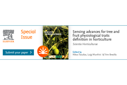 Special Issue “Sensing advances for tree and fruit physiological traits definition in horticulture”