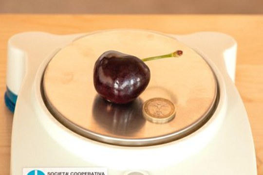 Una ciliegia Sweet nel Guinness World Records: è la più pesante al mondo
