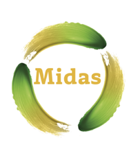 Il logo del progetto Midas
