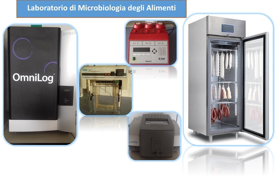 Laboratorio di Microbiologia degli alimenti
